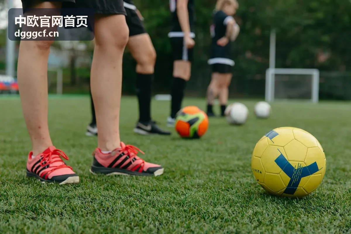 中欧跨境合作项目现场资料与示意图
